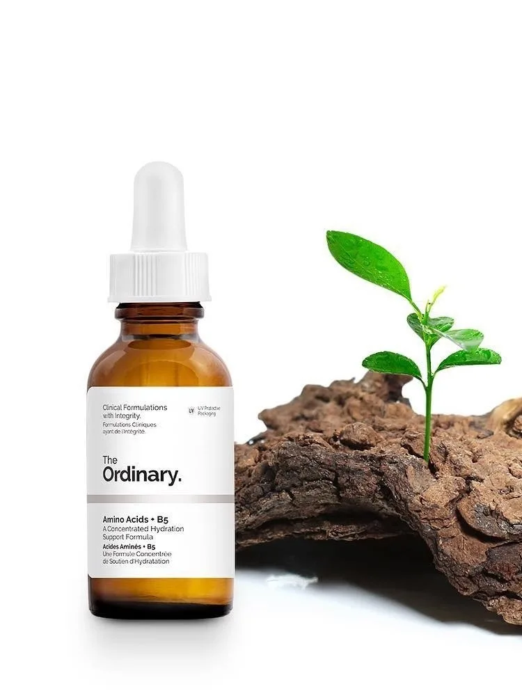 ذا اورديناري سيروم  الاحماض الامينية  |  the ordinary amino acids + b5