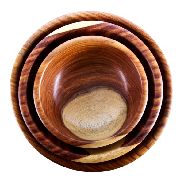 Set of 3 Saur Bowls