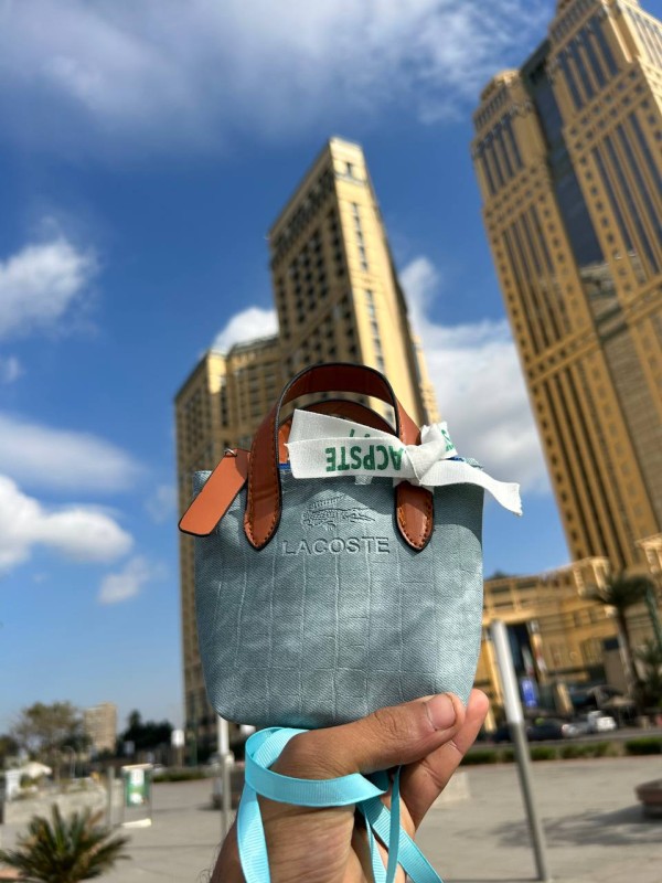 شنطه كتكوته صغنتوته