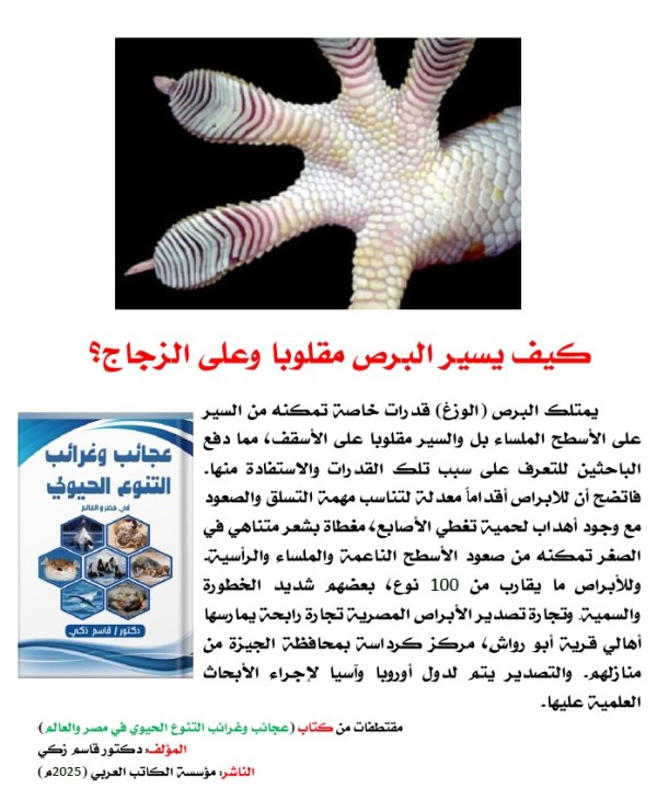 كتاب: عجائب وغرائب التنوع الحيوي في مصر والعالم
