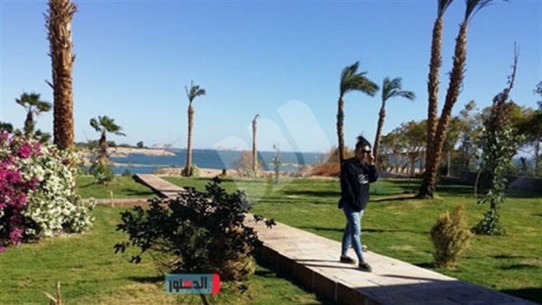 تعامد الشمس على معبد أبو سمبل          (طبعة أولي اليكترونية، عام 2019م)