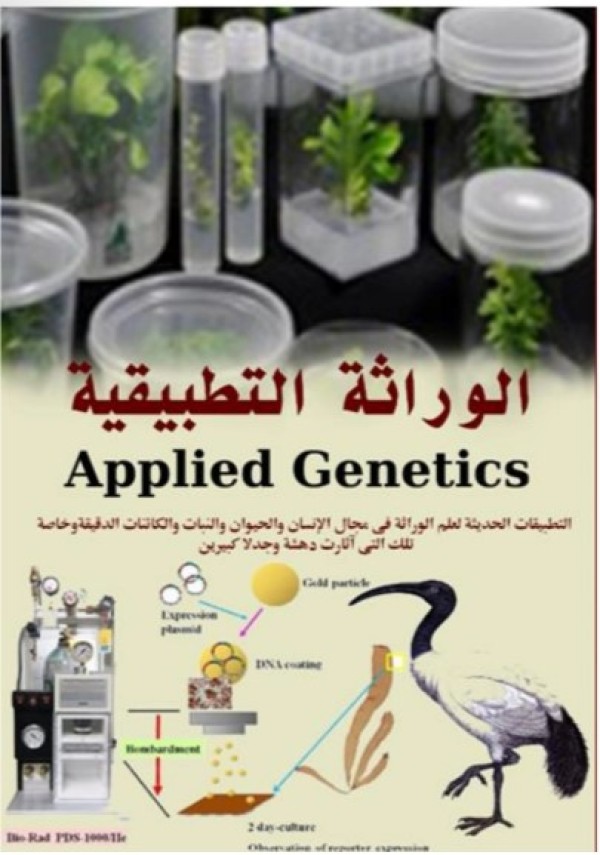 شقه رقم 2 الدور الاول علوي