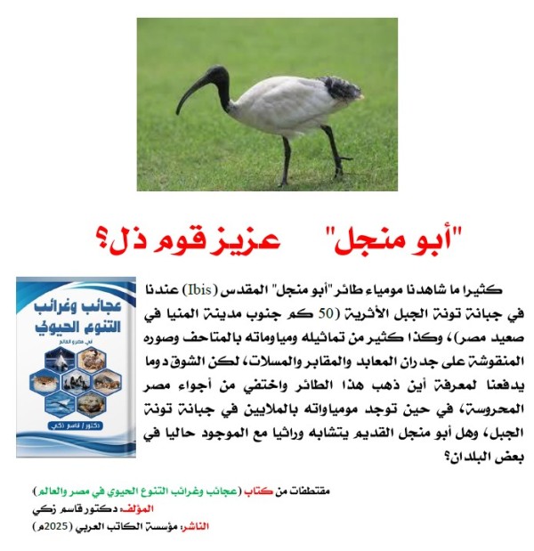 كتاب: عجائب وغرائب التنوع الحيوي في مصر والعالم                   (نسخة إليكترونية للقراءة عبر الانترنت فقط)