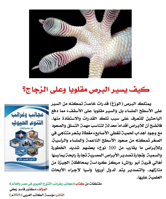 كتاب: عجائب وغرائب التنوع الحيوي في مصر والعالم                   (نسخة إليكترونية للقراءة عبر الانترنت فقط)