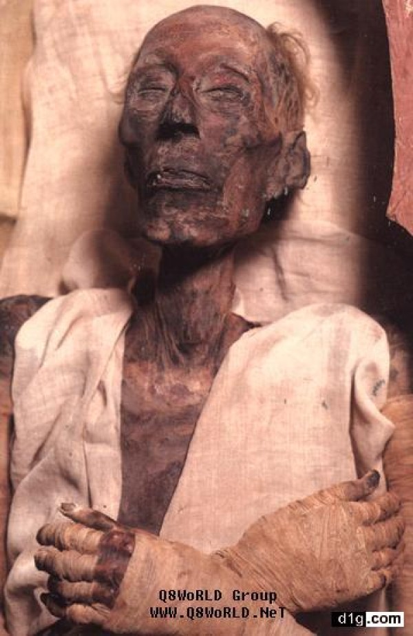 تعامد الشمس على معبد أبو سمبل               (طبعة  ثالثة ورقية بالألوان، مارس 2025م)