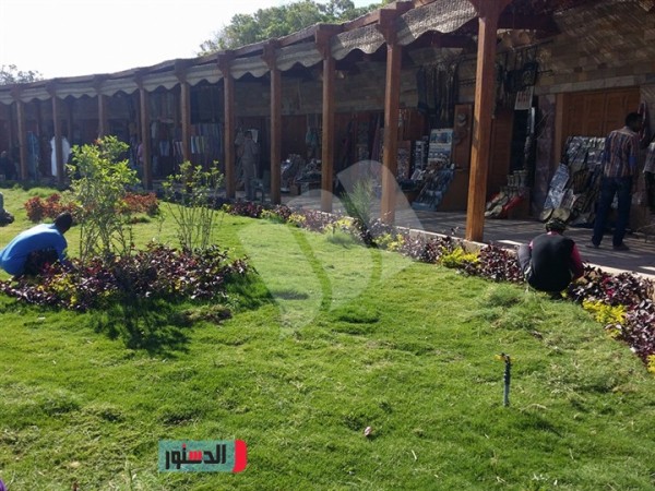 تعامد الشمس على معبد أبو سمبل               (طبعة  ثالثة ورقية بالألوان، مارس 2025م)