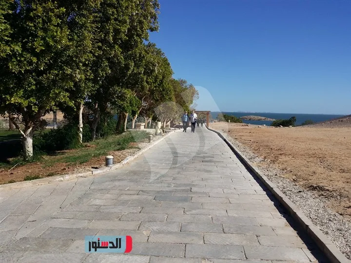 تعامد الشمس على معبد أبو سمبل               (طبعة  ثالثة ورقية بالألوان، مارس 2025م)