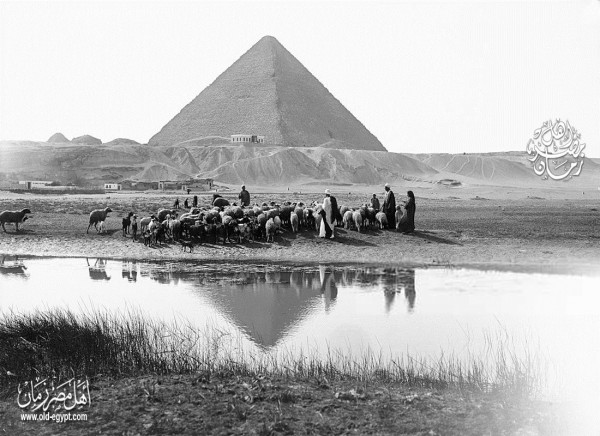 تعامد الشمس على معبد أبو سمبل (طبعة ثالثة إليكترونية)