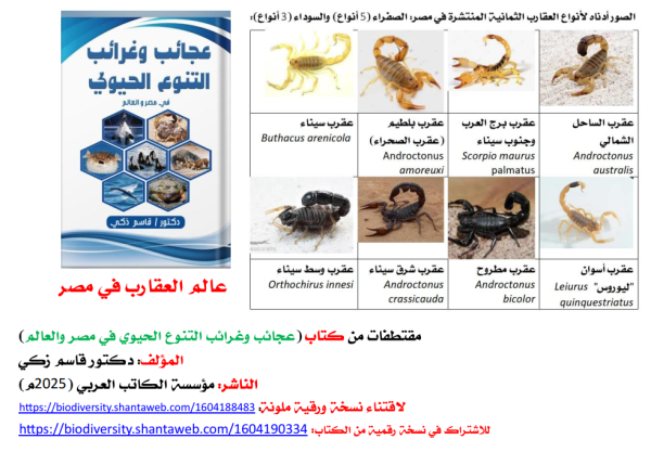 كتاب: عجائب وغرائب التنوع الحيوي في مصر والعالم