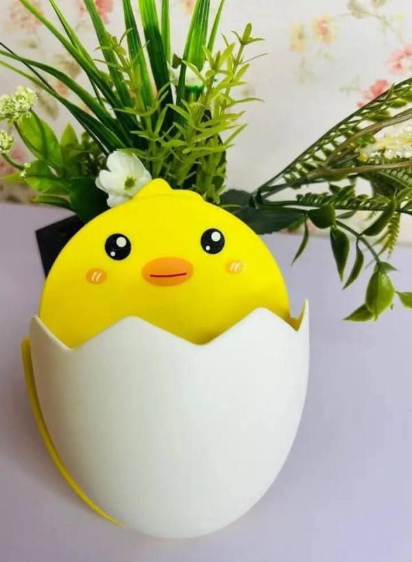 حامل بطوط