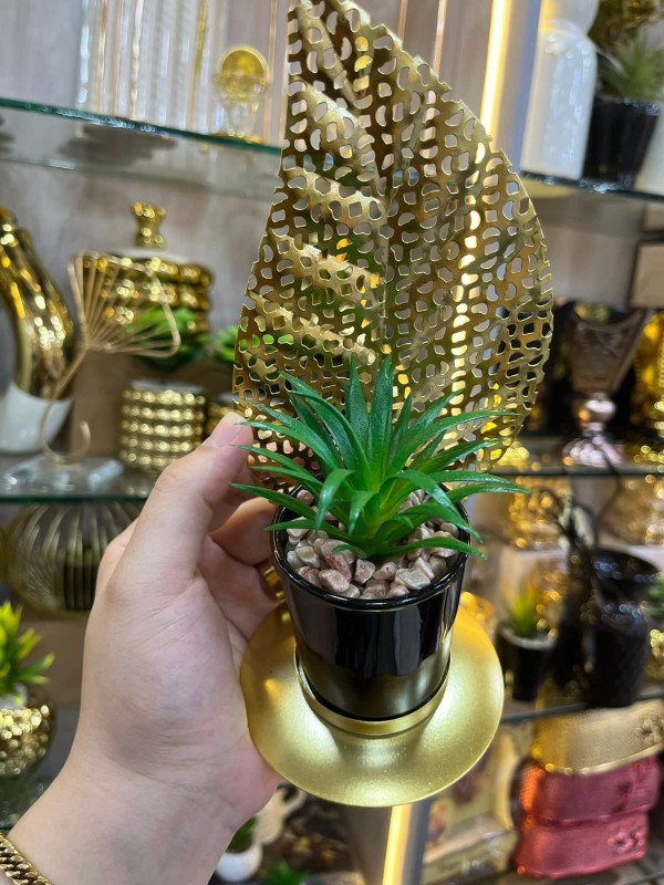 صبارة معدن