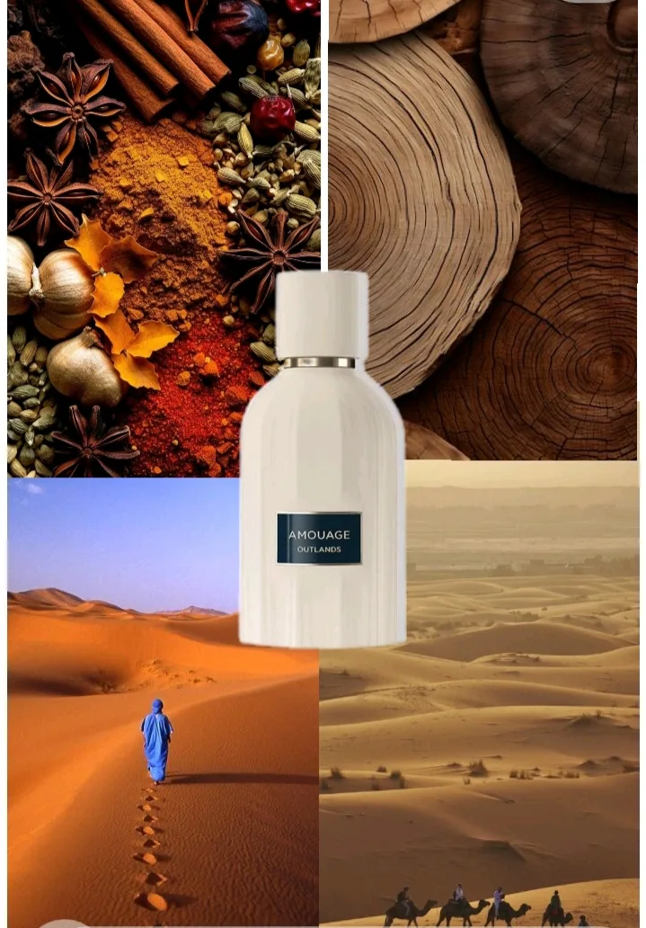 Barren Land