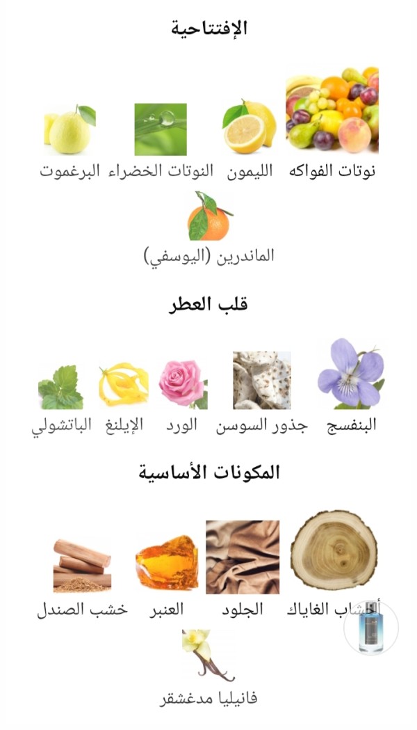 عود بلو نوتس مانسيرا