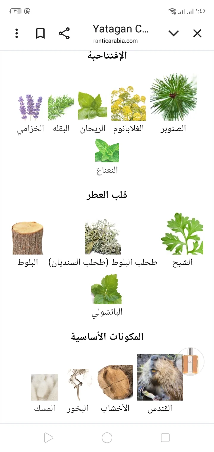ياتاجان