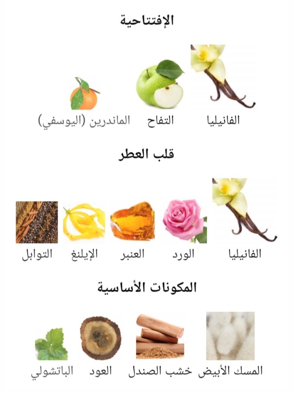 شمس الامارات