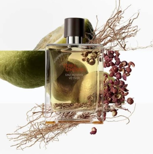 Terre d'Hermès Hermès