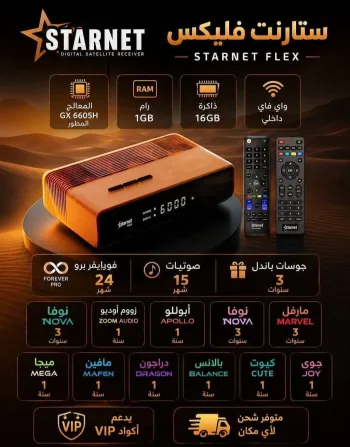 فليكس ستارنت