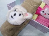 فوط مجسمات