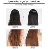 فارم ستاي امبولات فيلر اصلاح الشعر بالسيرامايد -  سيراميد داميدج كلينيك، 10 قطع 13 مل |  Farm Stay Ceramide Damage Clinic Hair Filler 10 Pcs 13 Ml