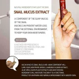 اينليب امبول هلام الحلزون فيرست ماجيك للوجه ( 13 مل * 5 امبولات ) | (13ml X 5PCS) eyenlip first magic snail ampoules