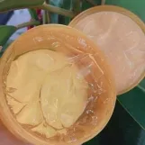 تيريسيا  جيل الحلزون الكوري بخلاصة الحلزون النقي | TERESIA Soothing Gel 95 Pure Snail