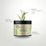 قناع تقوية الشعر بإكليل الجبل والنعناع من ميلي اورجانيكس - 340 جم | Mielle Organics Rosemary Mint Strengthening Hair Masque - 340 g