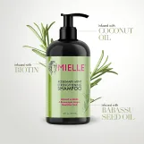 شامبو مقوي للشعر بإكليل الجبل والنعناع من ميلي اورجانيكس - 355مل | Mielle Organics  Rosemary Mint Strengthening Shampoo 355ml