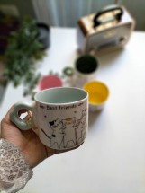 مج قطط