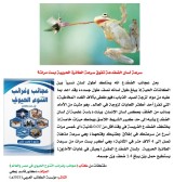 كتاب: عجائب وغرائب التنوع الحيوي في مصر والعالم