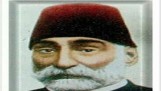 مُشَاكَسَات مِنْيَاوية في تاريخ الأمة المصرية    (كتاب إليكتروني)