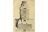 مأساة نفرتيتي وأخواتها (قصة نهب وتهريب الآثار المصرية منذ الأزل وحتى يومنا هذا)             (كتاب اليكتروني) 2019م