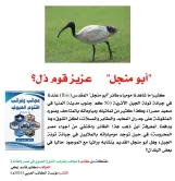 كتاب: عجائب وغرائب التنوع الحيوي في مصر والعالم                   (نسخة إليكترونية للقراءة عبر الانترنت فقط)