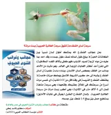 كتاب: عجائب وغرائب التنوع الحيوي في مصر والعالم                   (نسخة إليكترونية للقراءة عبر الانترنت فقط)