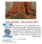 كتاب: عجائب وغرائب التنوع الحيوي في مصر والعالم                   (نسخة إليكترونية للقراءة عبر الانترنت فقط)