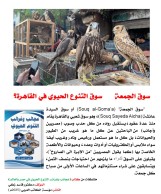كتاب: عجائب وغرائب التنوع الحيوي في مصر والعالم                   (نسخة إليكترونية للقراءة عبر الانترنت فقط)