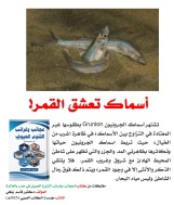 كتاب: عجائب وغرائب التنوع الحيوي في مصر والعالم                   (نسخة إليكترونية للقراءة عبر الانترنت فقط)