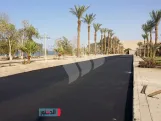 تعامد الشمس على معبد أبو سمبل               (طبعة  ثالثة ورقية بالألوان، مارس 2025م)