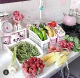 منظم  تلاجه الوطنيه