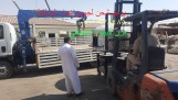 مصنع افران نابولي للمطاعم