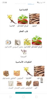 أيطاليان ليذز ميمو