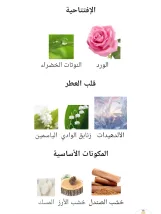 مخلط رشيق