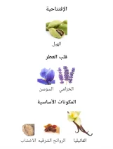 ضباب مخملى