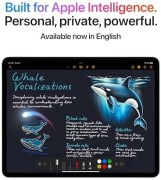 جهاز اي باد اير 11 بوصة مع شريحة M3 مصممة لذكاء آبل وشاشة ليكويد ريتينا 128 جيجا وكاميرا أمامية وخلفية 12 ميجابيكسل وواي فاي 6E