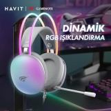 Havit GAMENOTE H2037d
