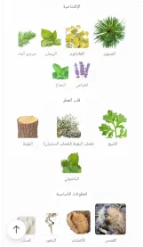 ياتاجان