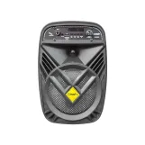 Crash X6000 Professional Stage Speaker