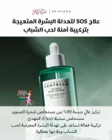 Skin1004 Centella Tea-Trica Relief Ampoule