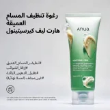 Anua Heartleaf Quercetinol Pore Deep