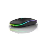 Gigamax GM-10 Mouse